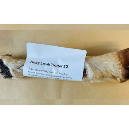 Hairy-Lamb-Trotter